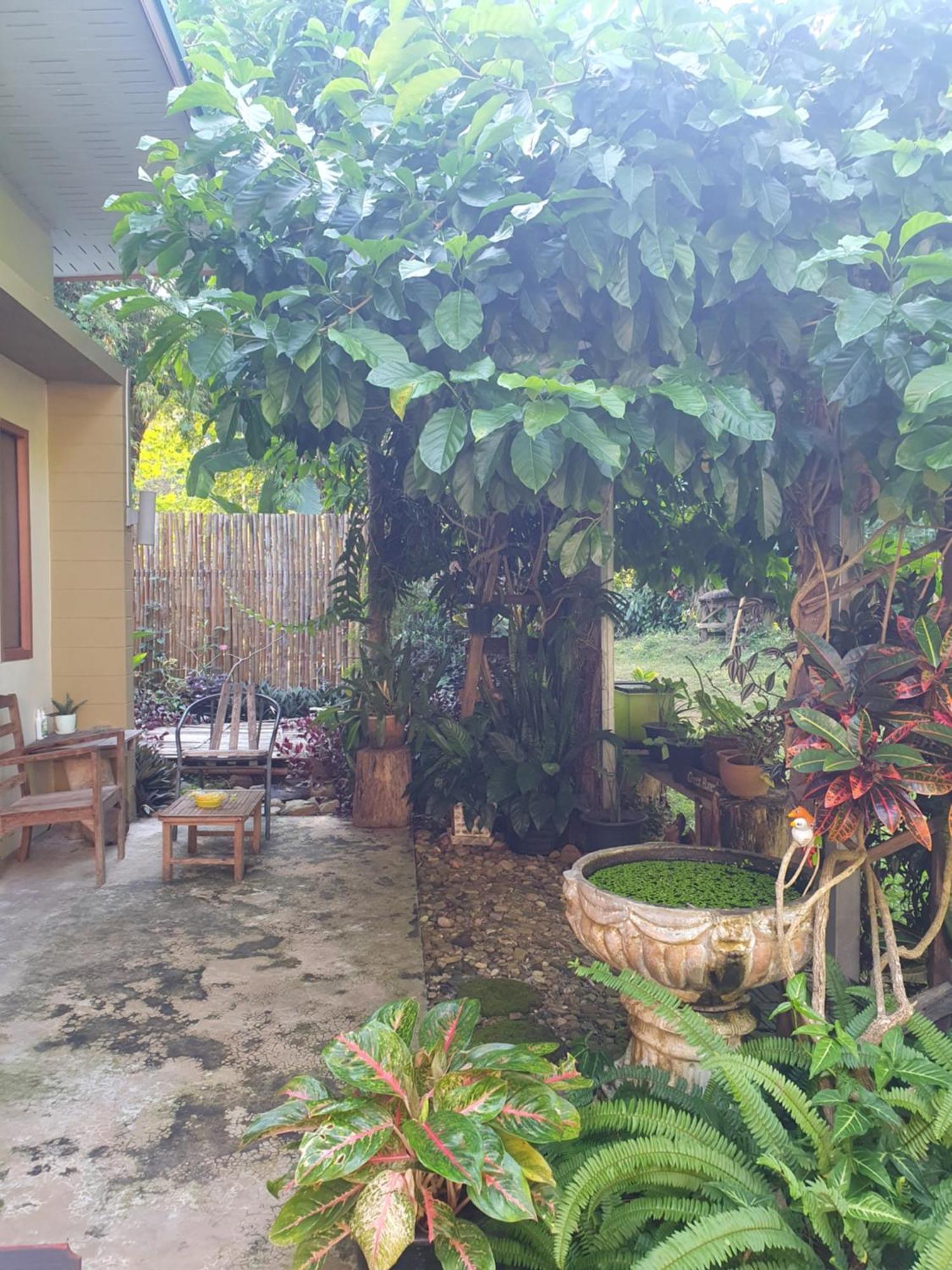 Kampong Huaibu Mind'S Homestay มายด์โฮมสเตย์ מראה חיצוני תמונה
