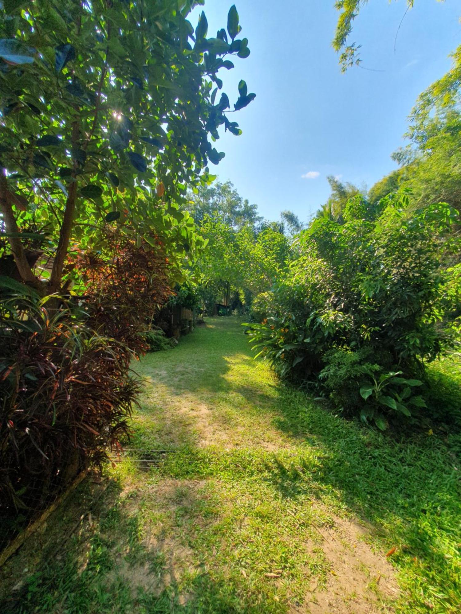 Kampong Huaibu Mind'S Homestay มายด์โฮมสเตย์ מראה חיצוני תמונה
